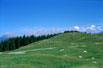 paesaggio
